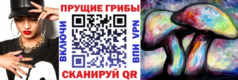 Галлюциногенные грибы Magic Shrooms  гидра ТОР  Альметьевск 